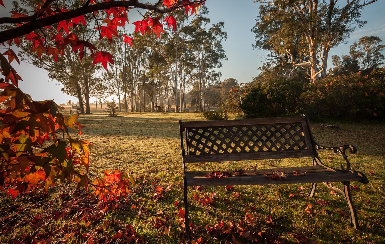Bed and Breakfast Tajmabarn Fullcircle Farm 6 Roundhill Rd Wilton Экстерьер фото